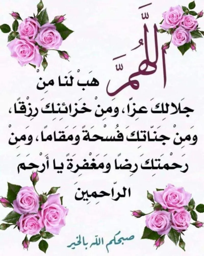 صورة الطير المهاجر